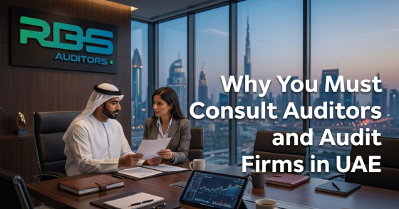40 Why You Must Consult Auditors and Audit Firms in UAE